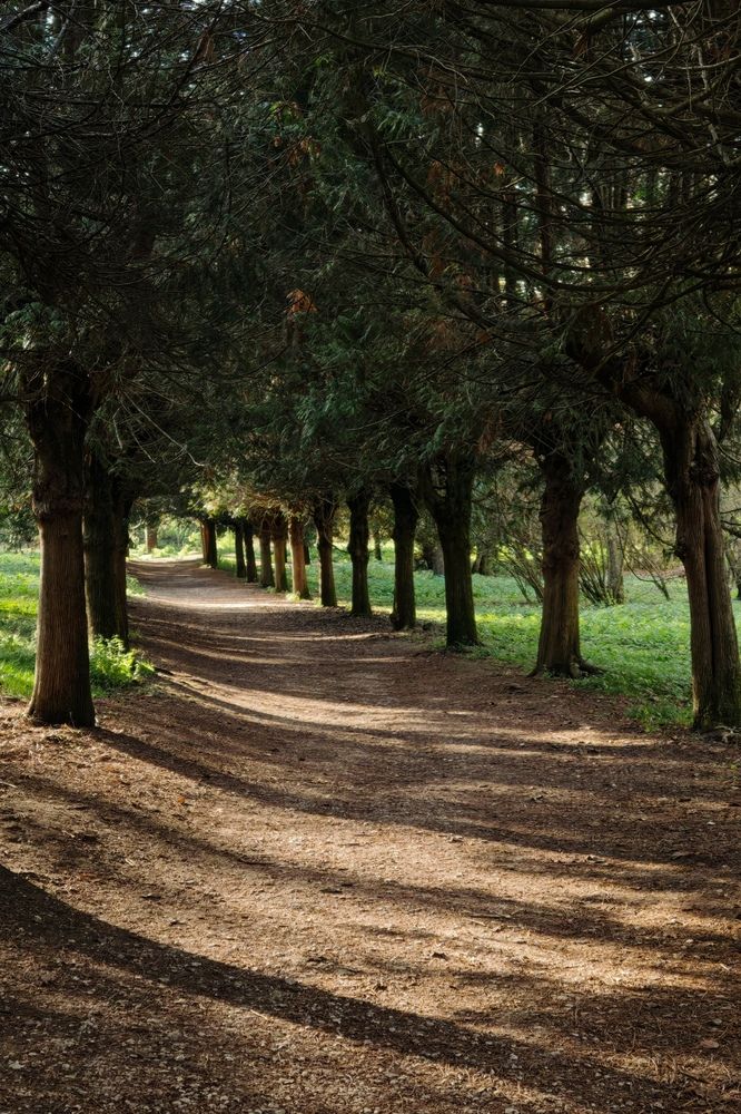 Фотография автора Ольга