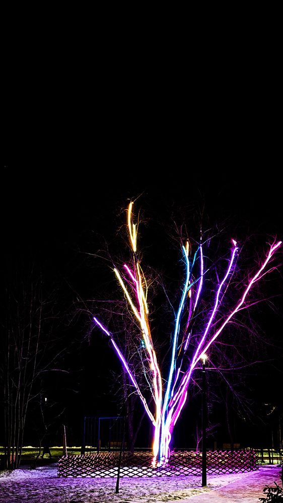 Photograph by Maria Stankevich