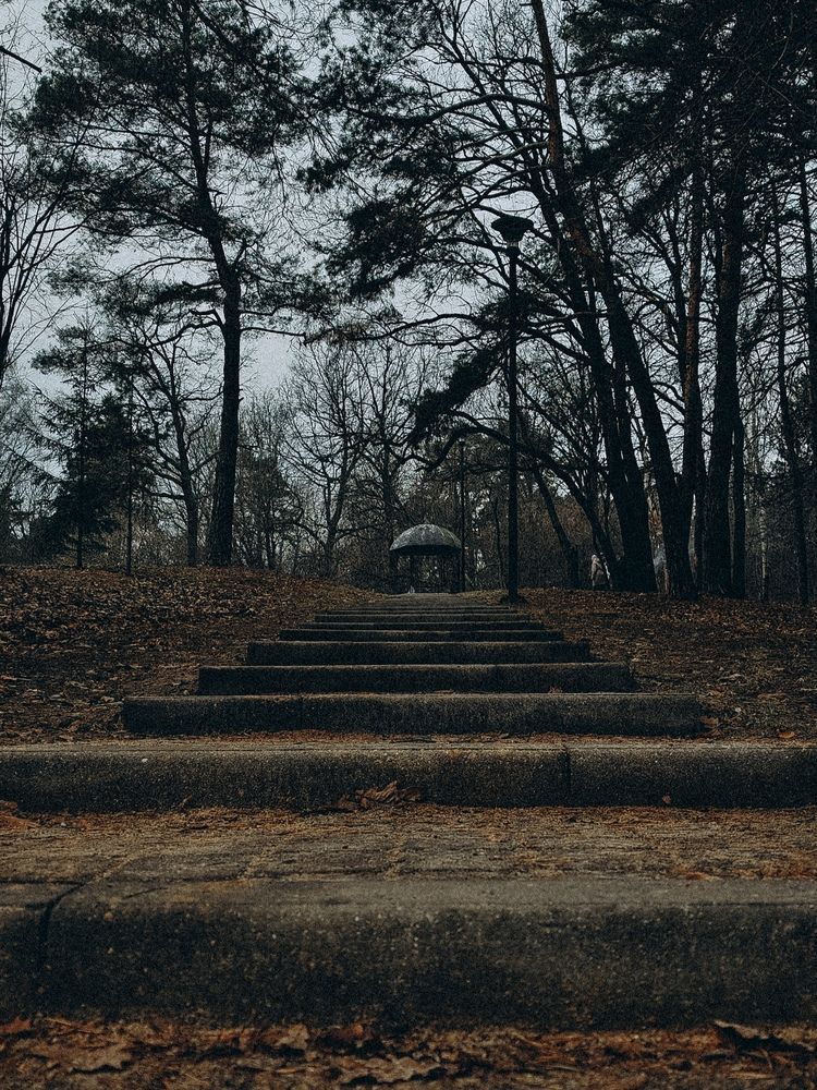 Photograph by Maria Stankevich