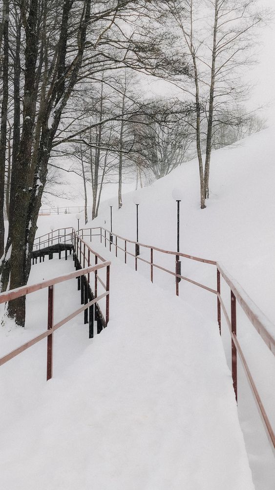 Photograph by Maria Stankevich