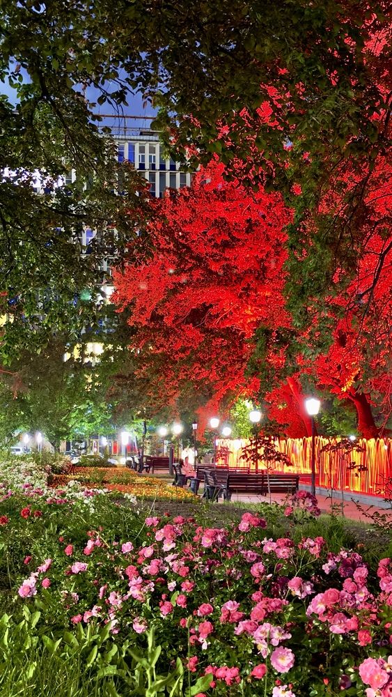 Photograph by Ольга Бибекина