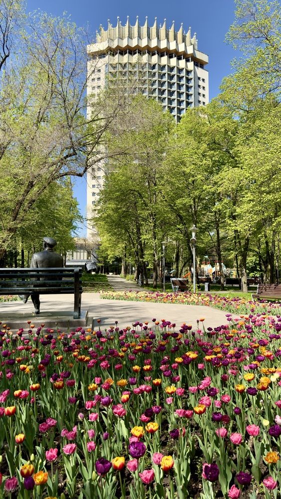 Photograph by Ольга Бибекина