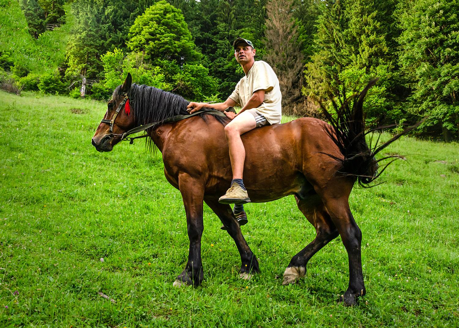 Фотография #13046086