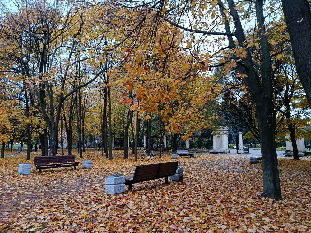 Photograph by Алла Бойко