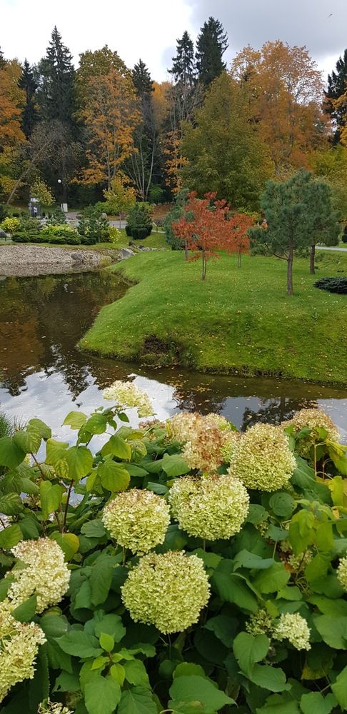 Photograph by Edmund Randal