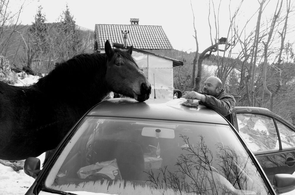 Фотография автора Damir Gržin