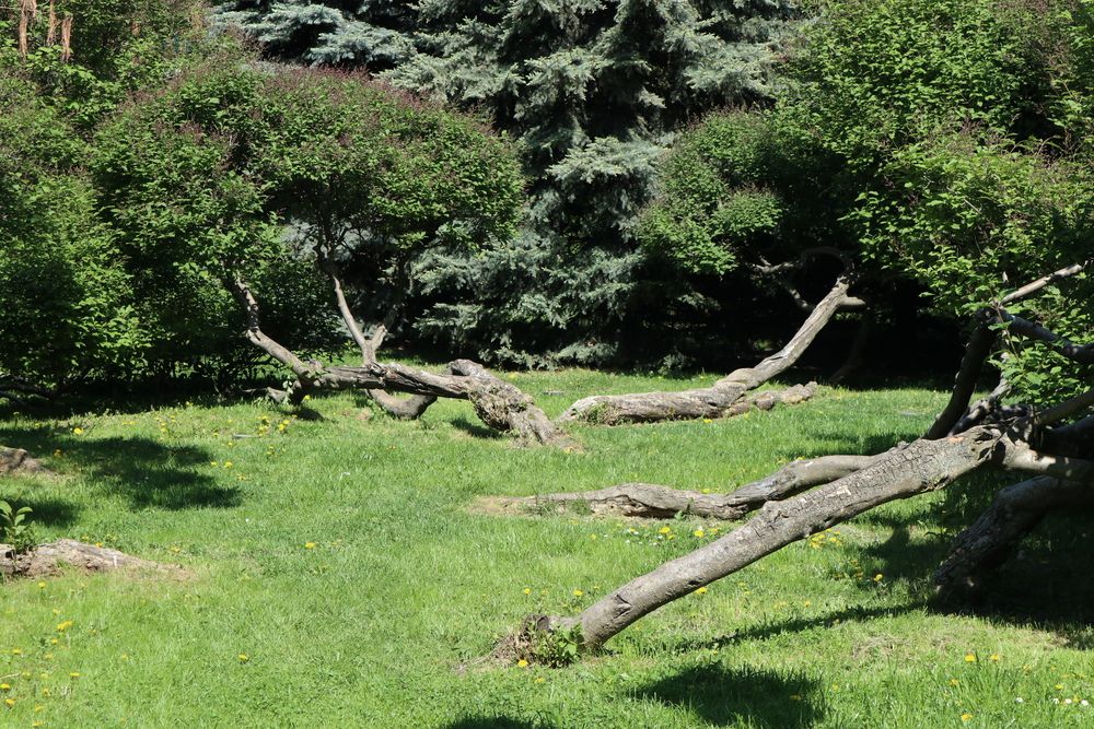 Photograph by Алла Бойко