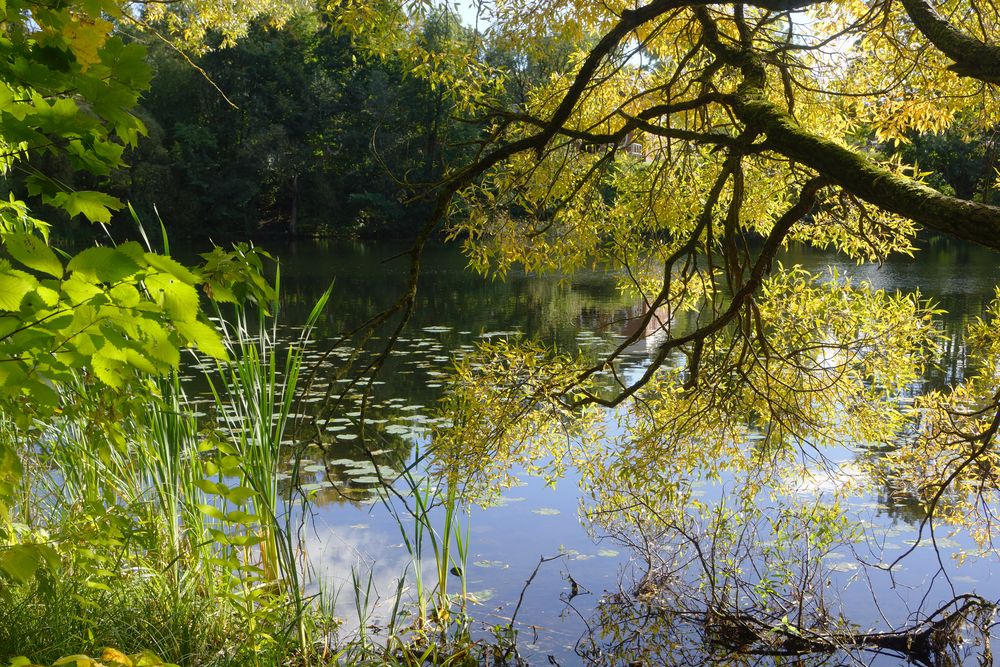 Photograph by Алла Бойко