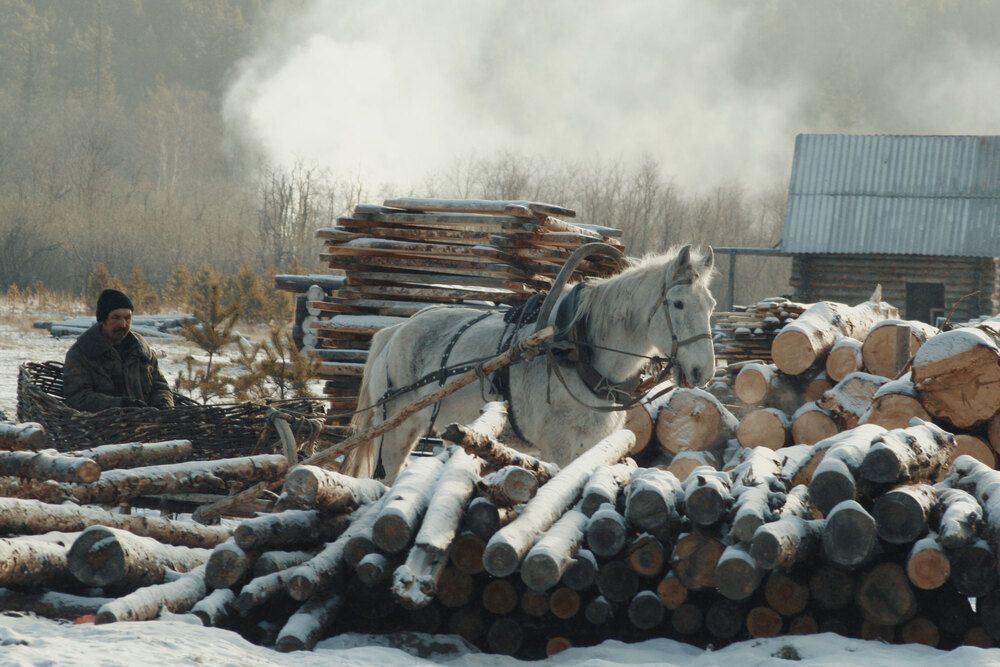 Photograph by Татьяна Рымар