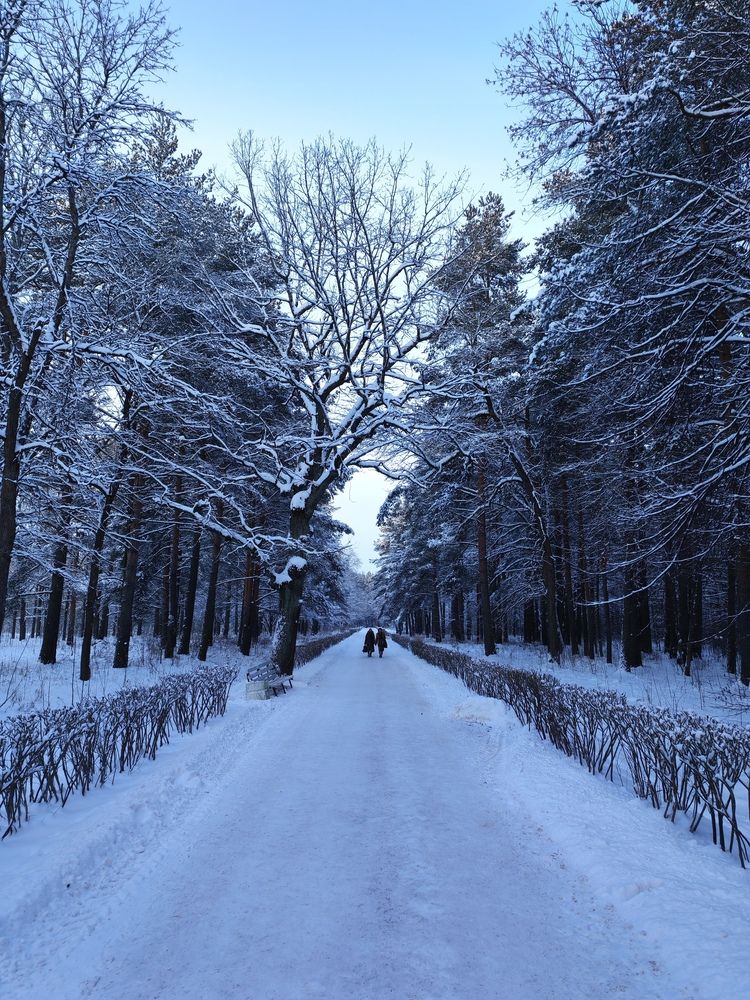 Photograph by Пальшенцева Анна