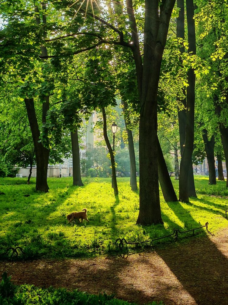 Фотография автора OLga Piirainen