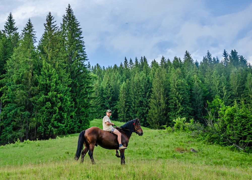 Photograph by Ольга Усова