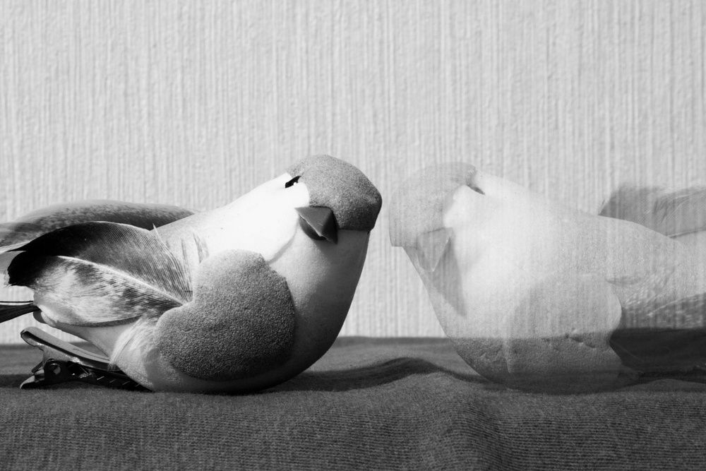 Photograph by Елена Ибрагимова