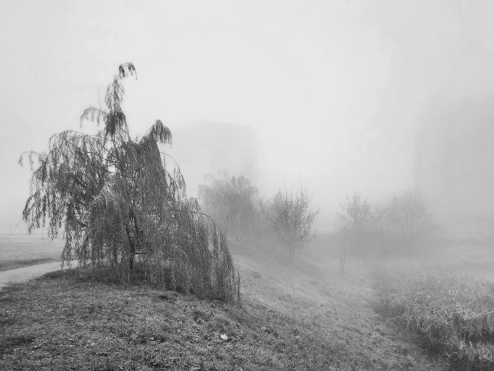 Photograph by OLGA MIKHNEVICH