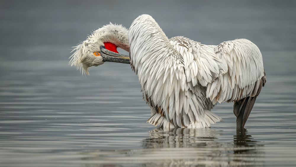 Photograph by Despina Anastasis