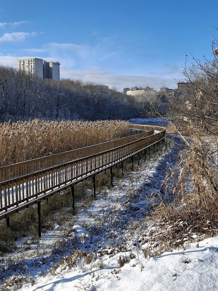 Фотография автора Наталья Гаврилова