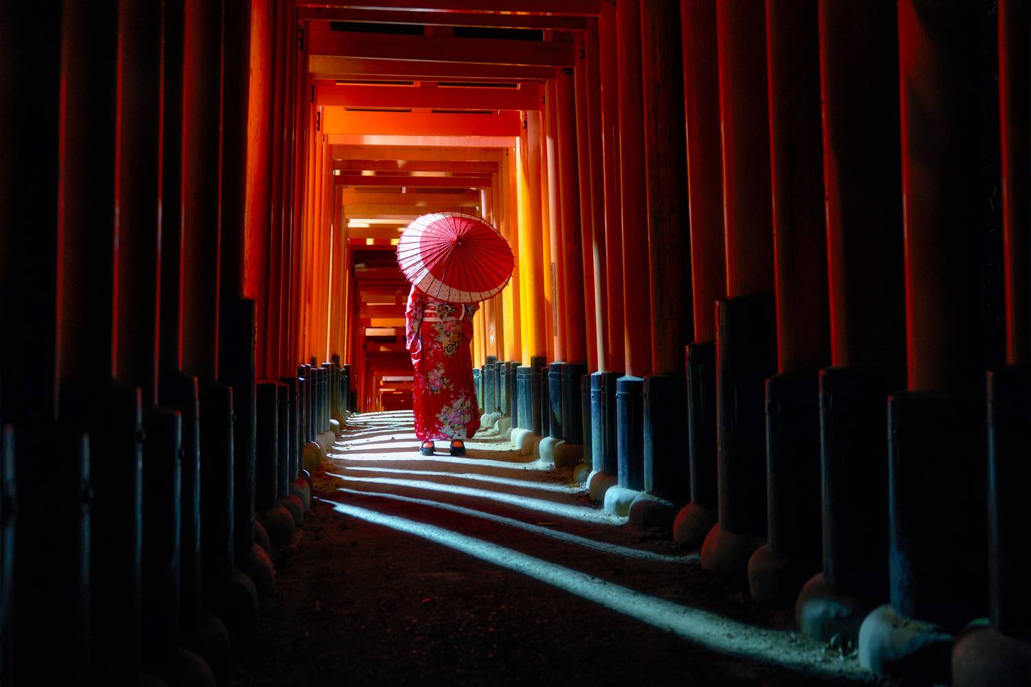 Фотография #13046389