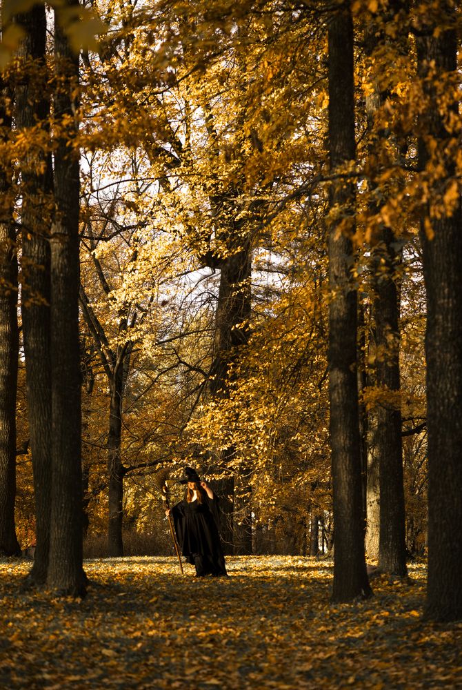 Photograph by Boitcova Anna