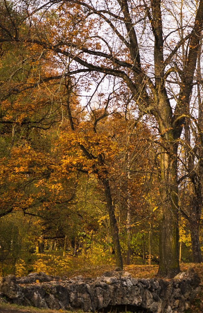 Photograph by Boitcova Anna