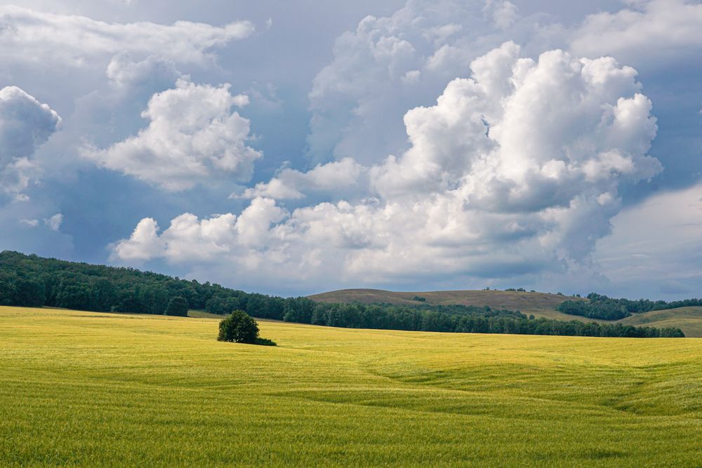 Photograph by Андрей Черкасов