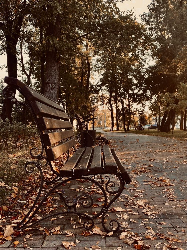 Фотография автора Светлана Герасимук