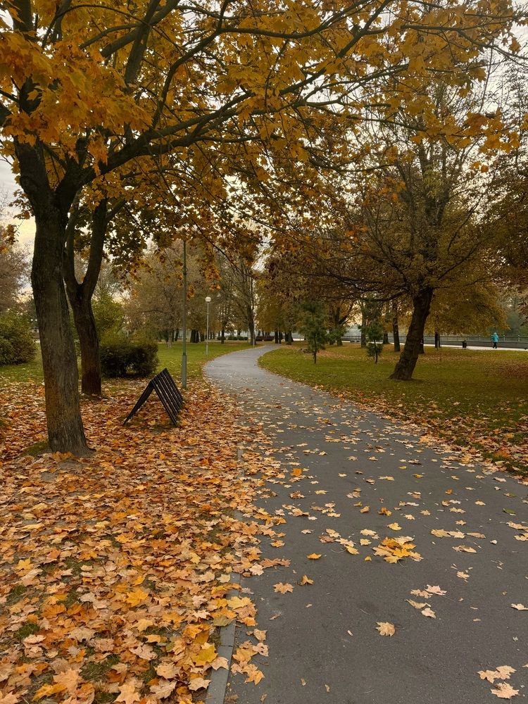 Фотография автора Светлана Герасимук
