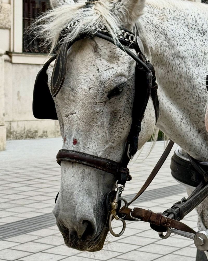 Photograph by Светлана Герасимук