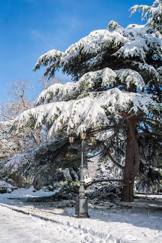 Фотография автора Артём Гуцалюк