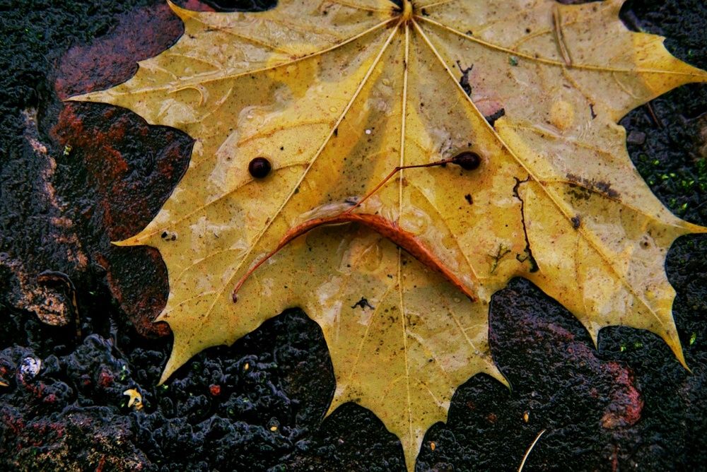 Photograph by Екатерина Яковлевская
