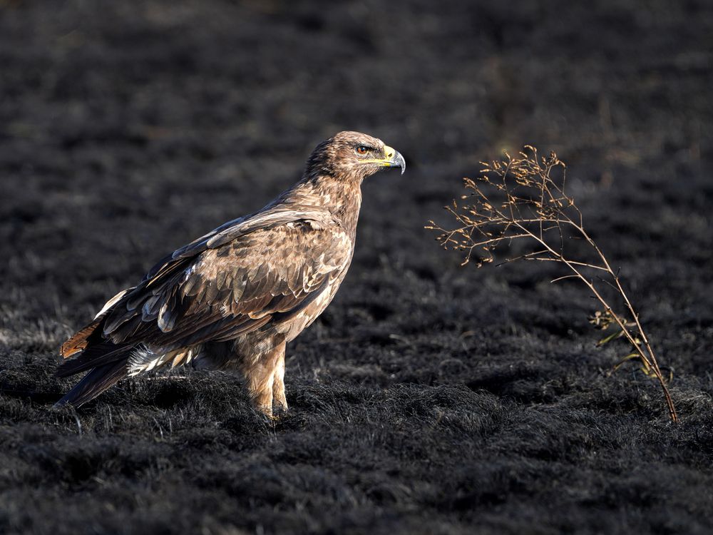 Photograph by Андрей Черкасов