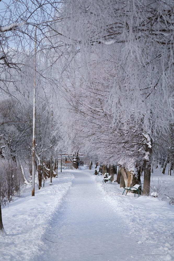 Photograph by Екатерина Одинцова