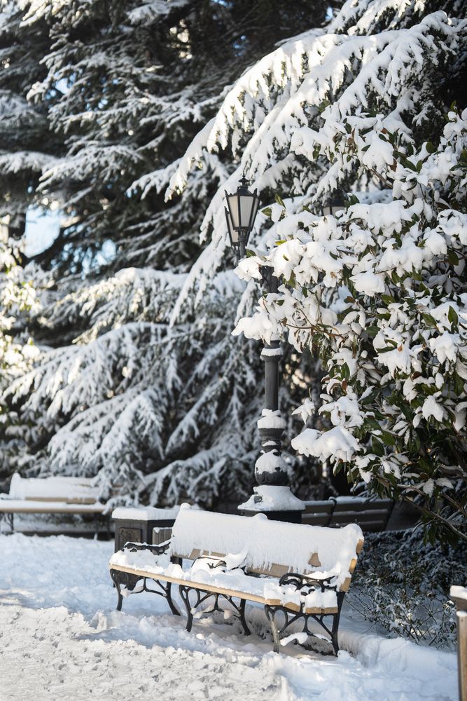 Фотография автора Артём Гуцалюк