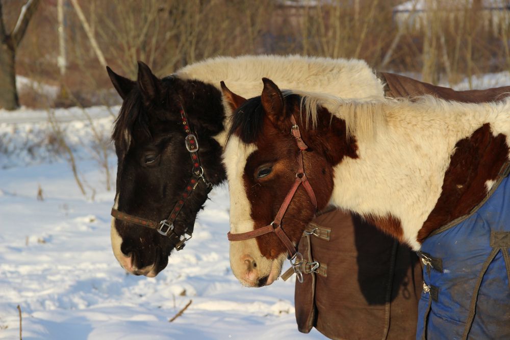 Фотография автора Юрий Сапрыкин