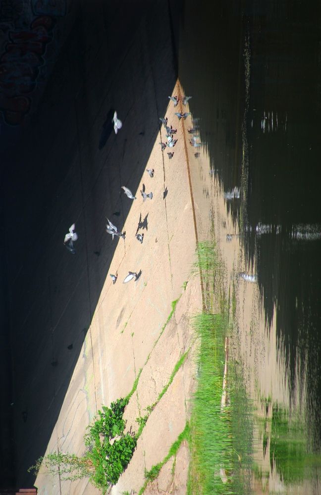 Photograph by Вакулина Марина