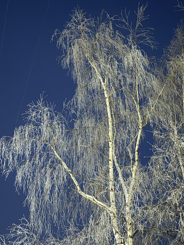 Photograph by Елена Мусина