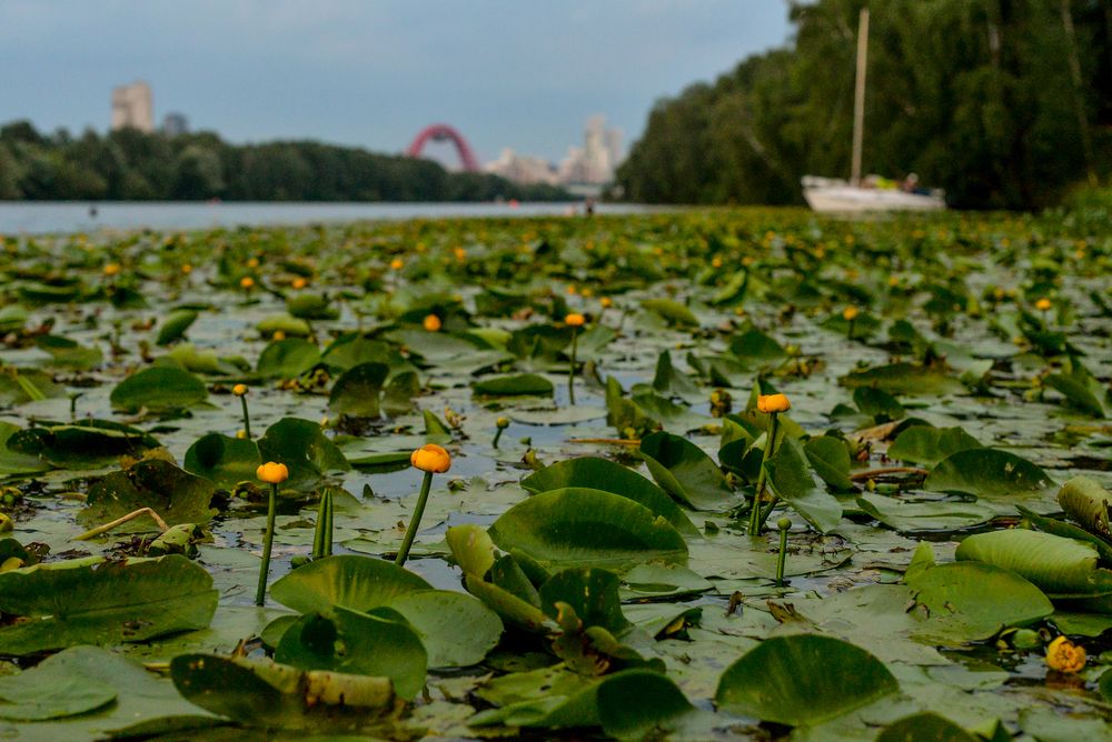Photograph by Андрей Бондаренко