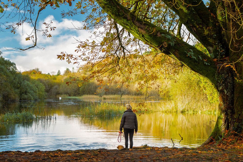 A woman watching a swan swimming away