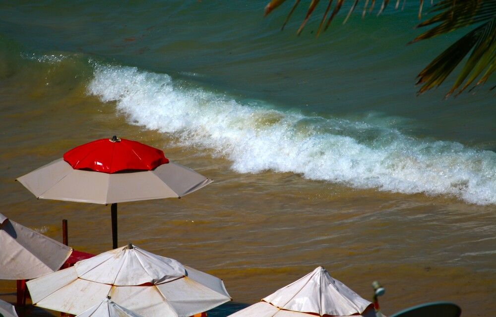 Photograph by Gr Marie