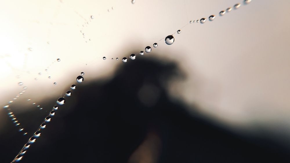 Photograph by Сергей Юрьевич