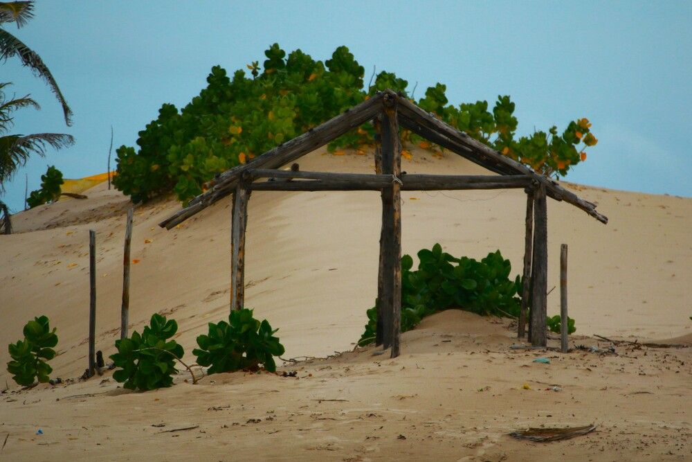 Photograph by Gr Marie