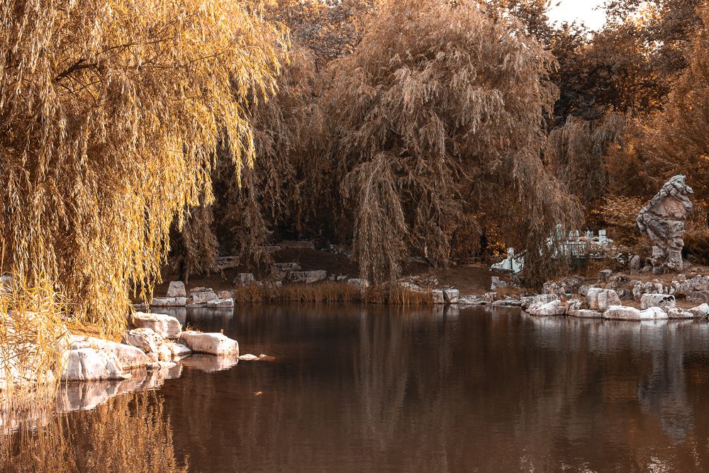 Photograph by Тимур Зенин