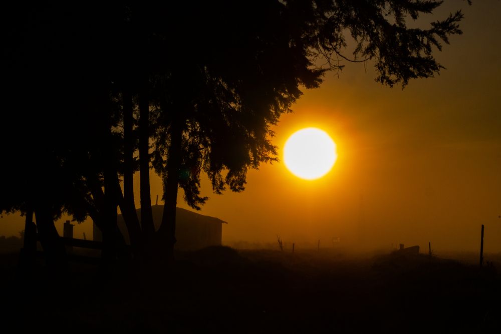 Photo #13046825