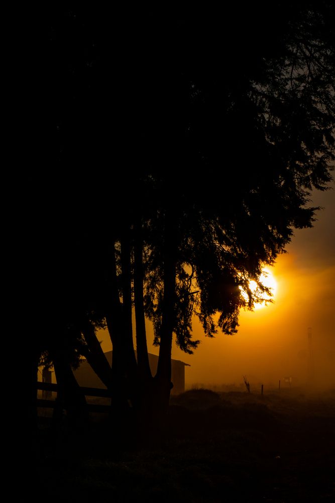Photo #13046830