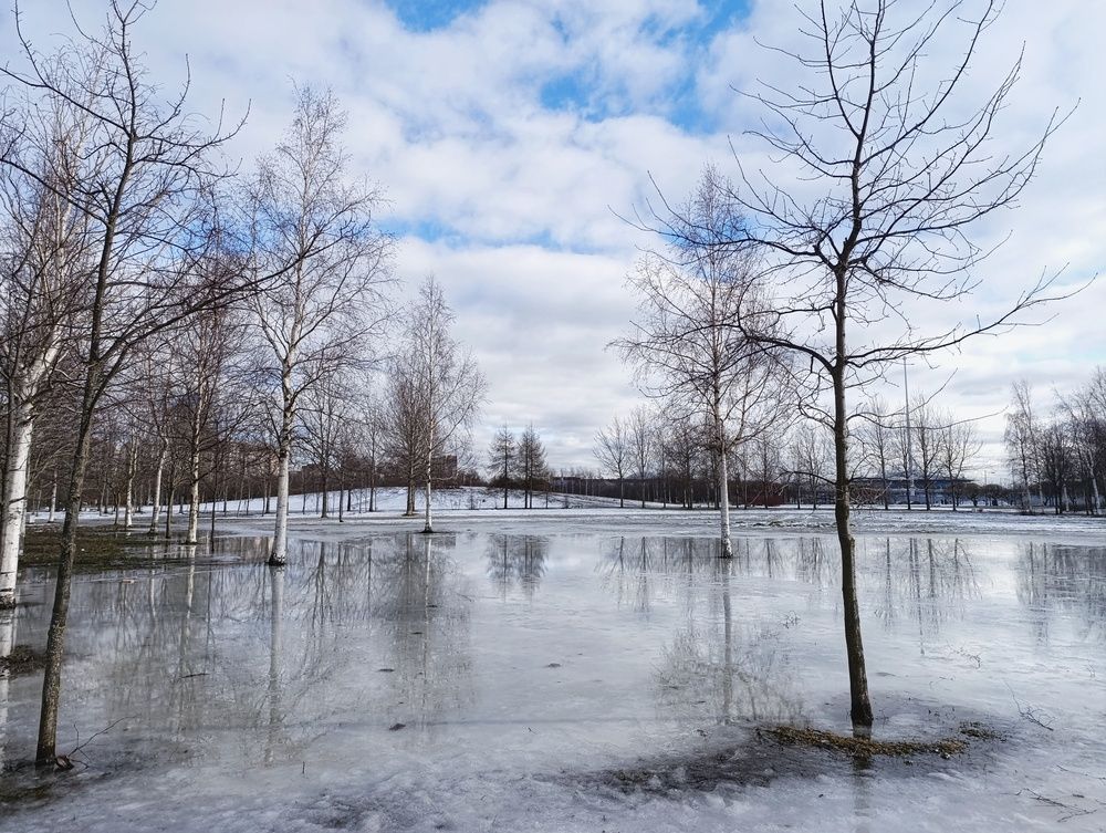 Photograph by Наталья Романова