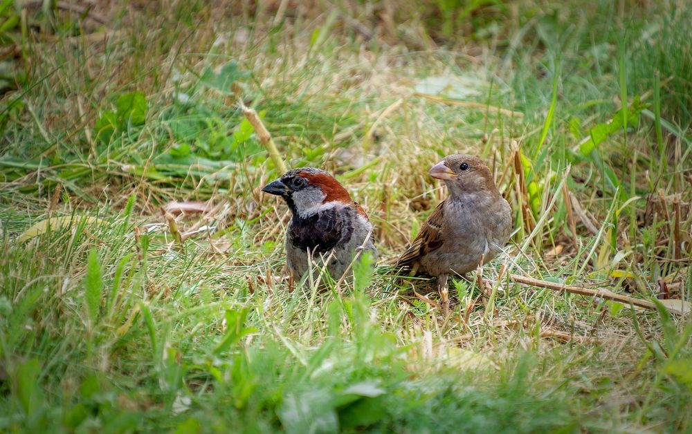 Photograph by Михаил Косолапов