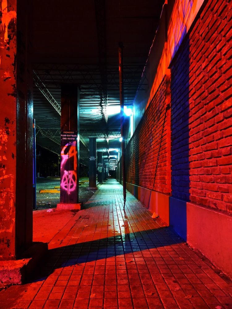 Photograph by Yana Borgia