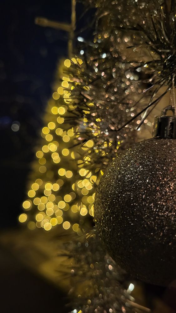 Фотография автора Татьяна Прашкевич