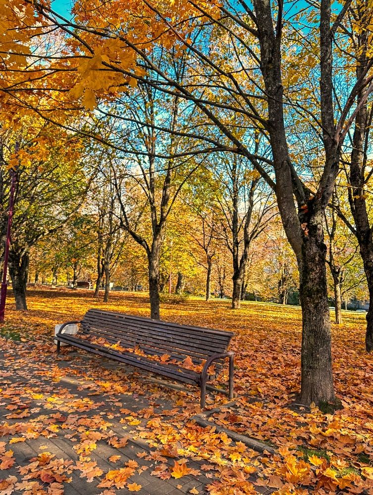 Photograph by Армен Егиян