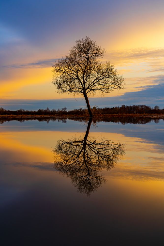 Photograph by Александр Кузнецов