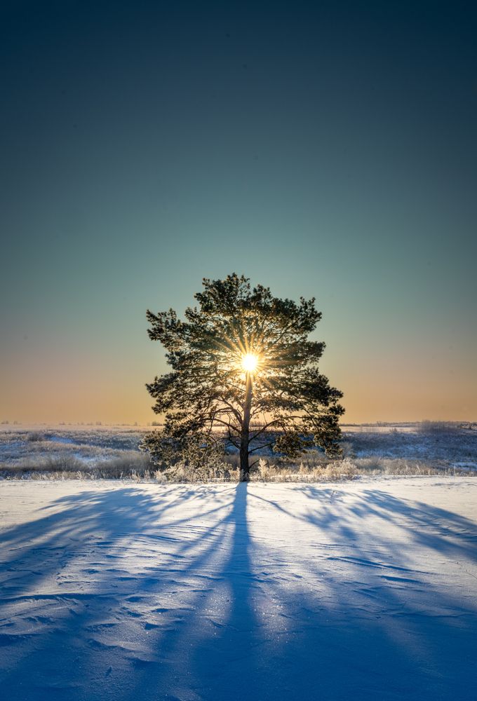 Photograph by Александр Кузнецов